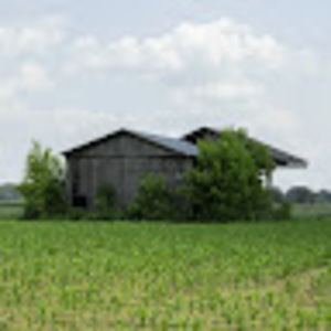 Meet your Posher, Issam